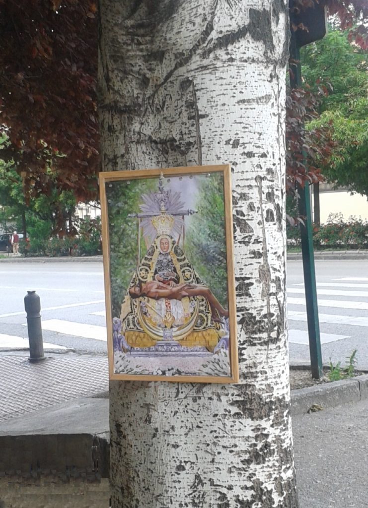 Puesto de Flores