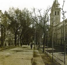 Paseo de cuarentena por la Carrera de la Virgen - Hermandad de la Virgen de  las Angustias