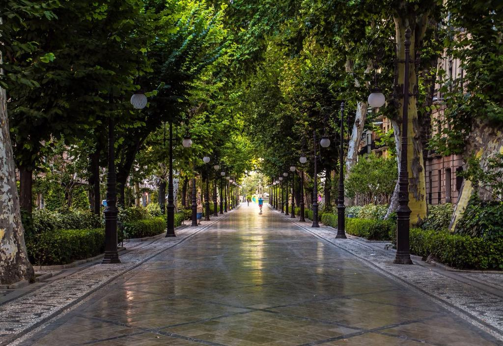 Paseo de cuarentena por la Carrera de la Virgen - Hermandad de la Virgen de  las Angustias